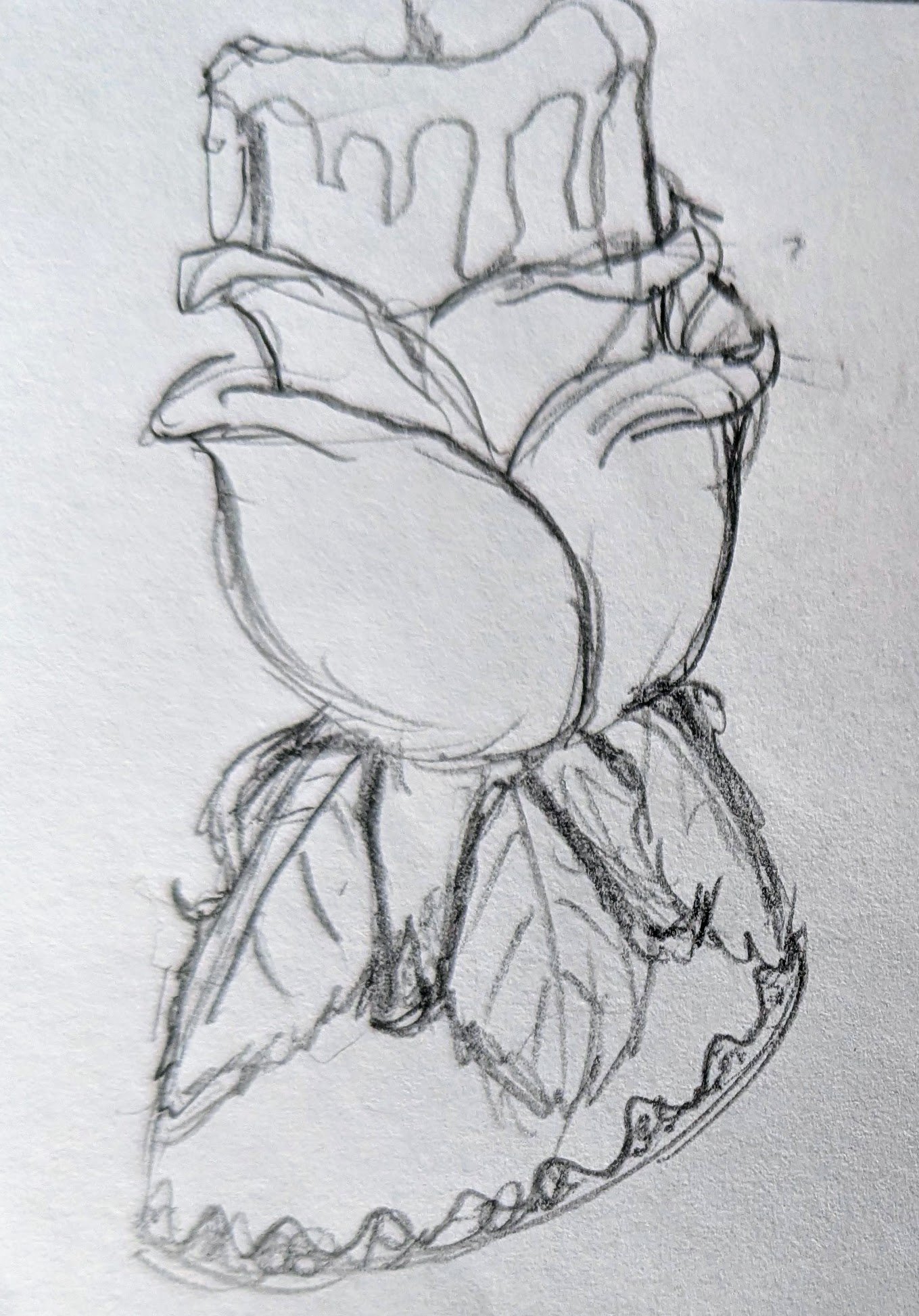 Pencil concept sketch of a theatrical rose costume with layered petals and leaves